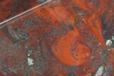 Polished Stromatolite (Collenia) - Minnesota #126075-1